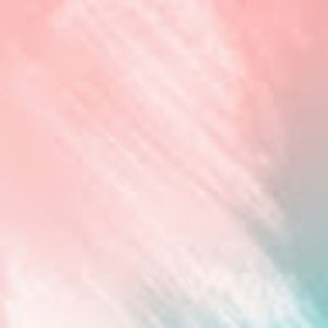 Meet your Posher, Bridget